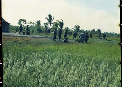 A group of soldiers gathering in a field of long grass and palm trees.